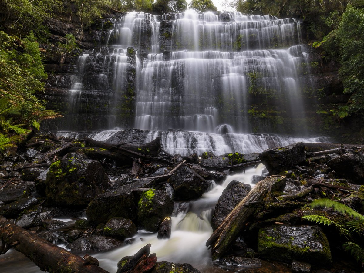 Discovery's tweet image. 📍Russell Falls, Tasmania

📸: Kieran Stone

#landscape #Tasmania #RussellFalls