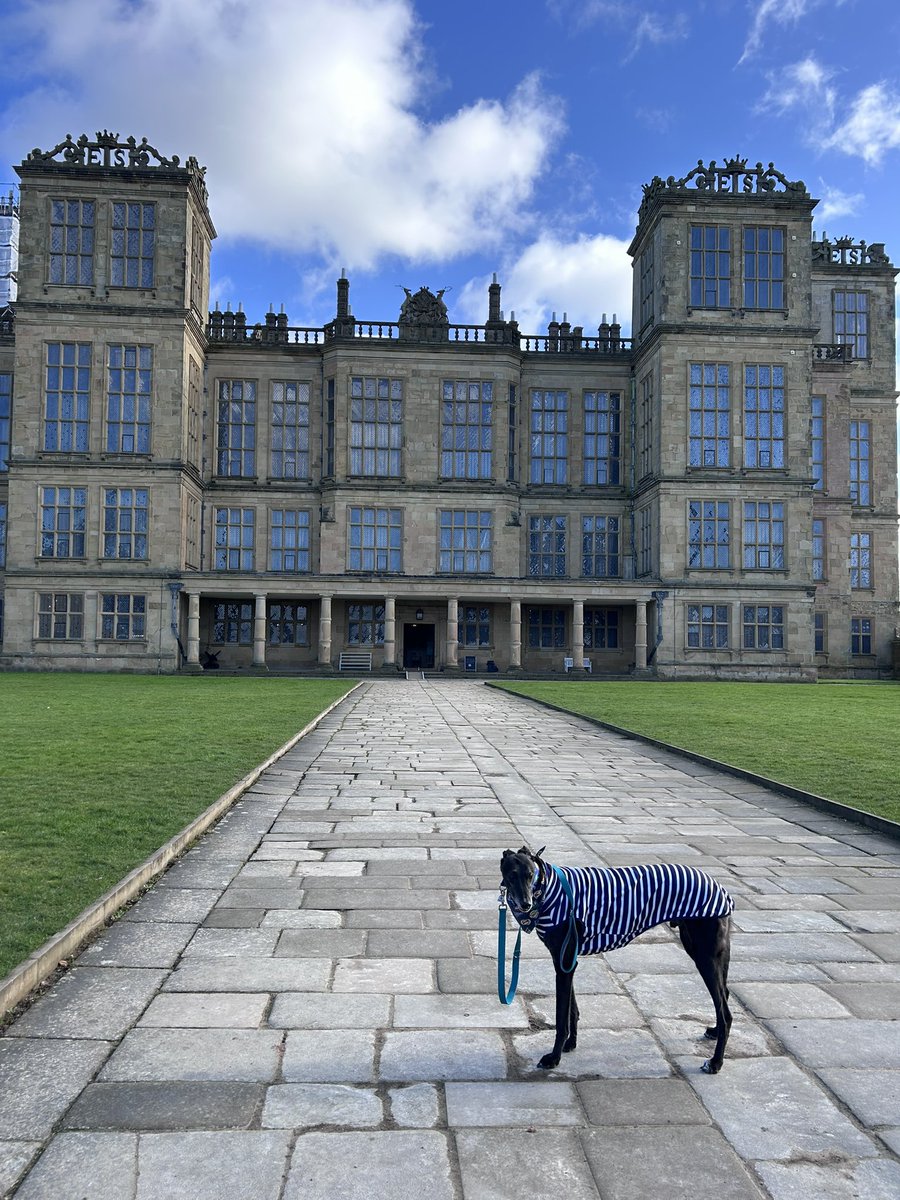 Duke 💙 tweet media