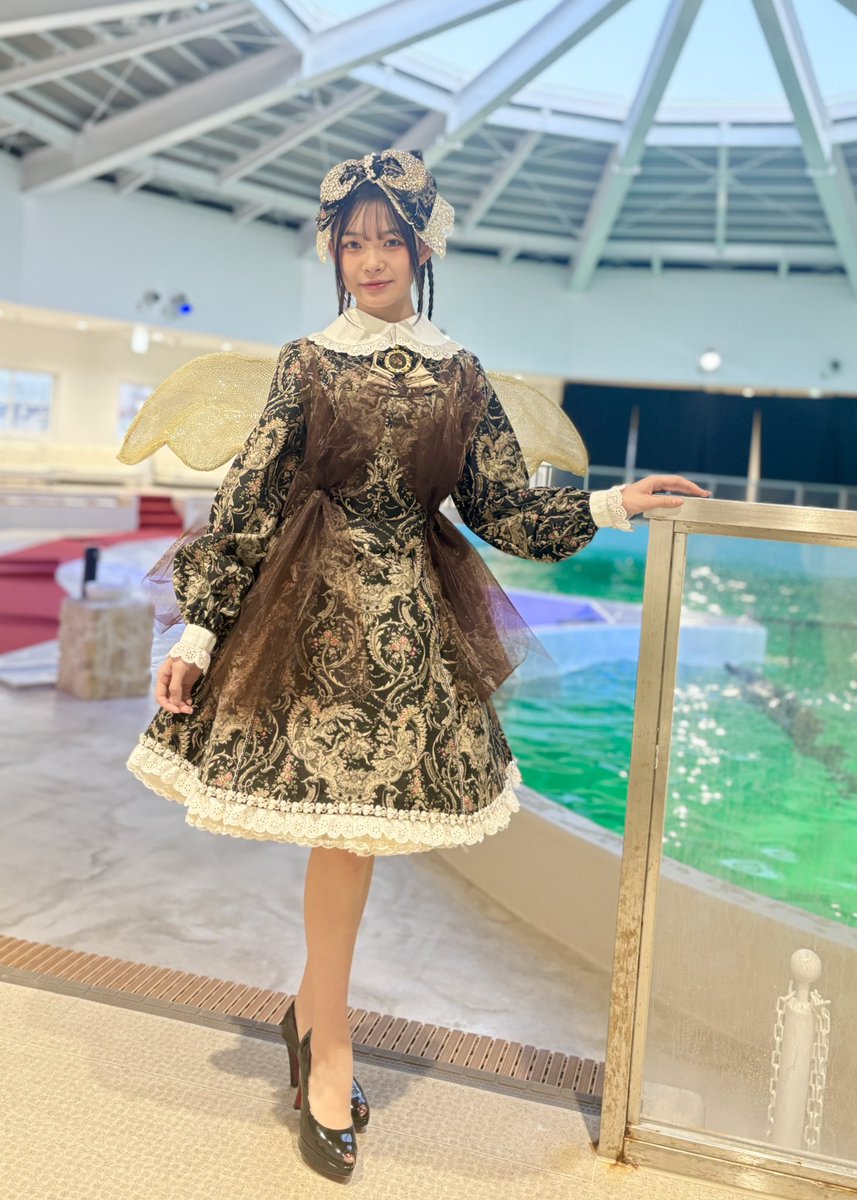 aoi_aoi_model's tweet image. ✨DREAM  COLLECTION✨
✨私服ランウェイSTAGE✨

Brand：✨Mana&amp;amp;M i🌙✨
Dress：🩷Marie-Antoinette🇫🇷🩷

ノアドルフィンドームにて

#AOI  #jcモデル
#dreamcollection
#ファッションショー
#ランウェイモデル