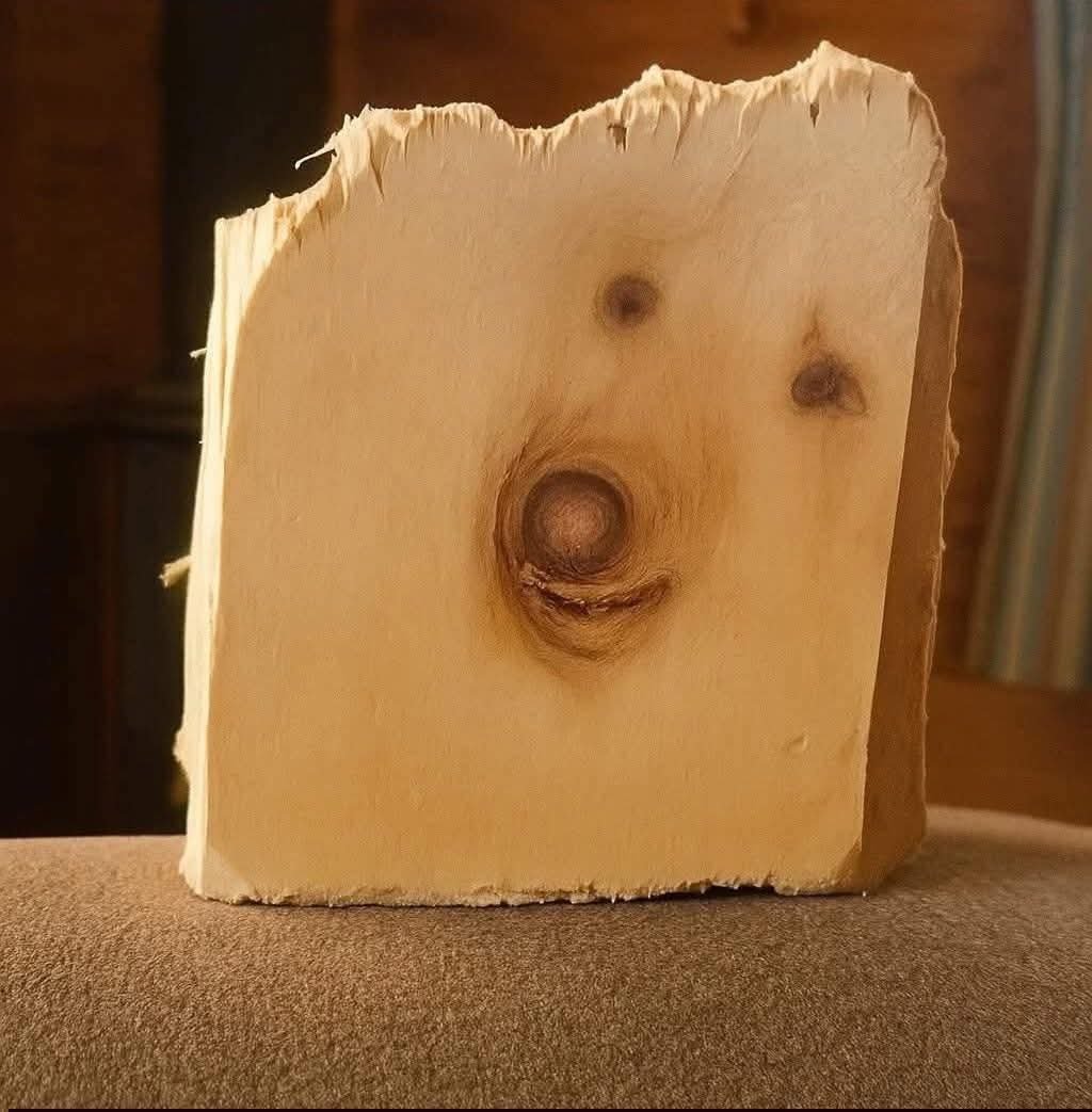 Zeynep Koloğlu tweet media