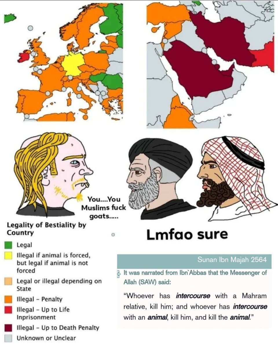 Goyim Ranker tweet media