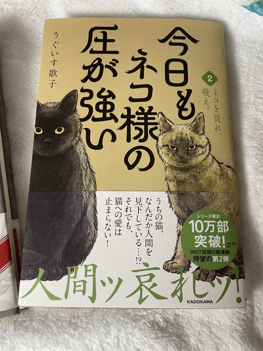 今日もネコ様の圧が強い2 ネコが好きすぎるので 今日も読もうと思い