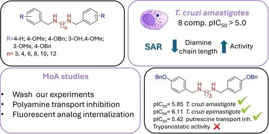 Guillermo Labadie tweet media