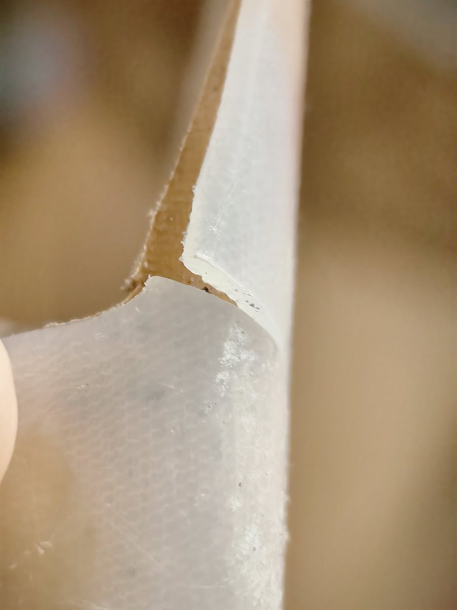 Aries ♿ tweet media