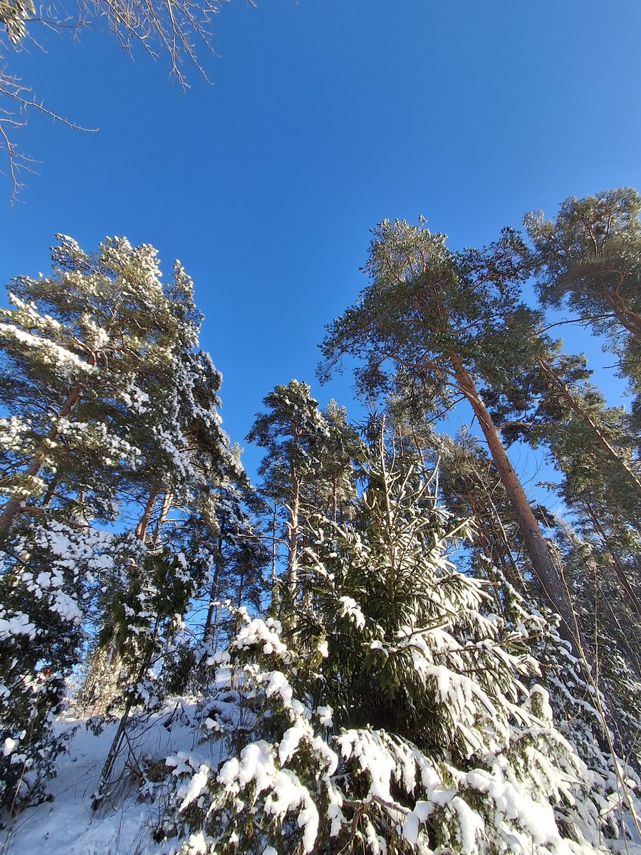 Skys really blue today, and the sun is shining.