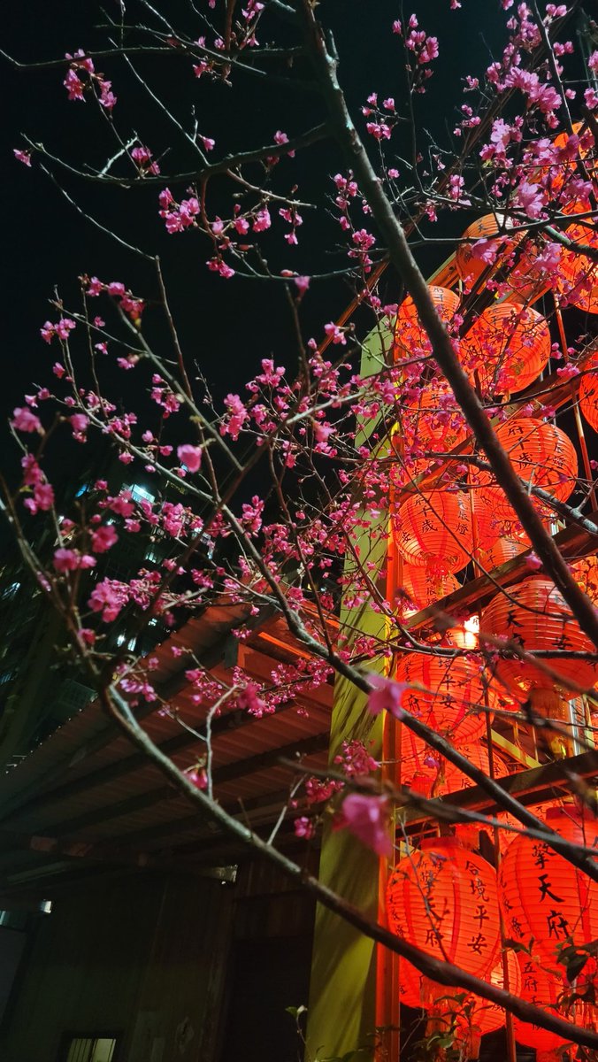 今天晚上出去走了一小時多
上去山上一趟便下來了
今晚不冷不熱
微風徐徐很舒服
抬頭看到星星很多
感覺很不錯
走了快4km
每天打開STEPN算是一種強迫自己運動的習慣吧
明天要開始回去上班了
要整頓心情回復到戰鬥狀態了
<a href="/Stepnofficial/">STEPN GO</a> <a href="/fslweb3/">FSL Ecosystem</a> 
今日收益
#STEPN
GST 320
#STEPNGO
GGT 155
MB4一箱