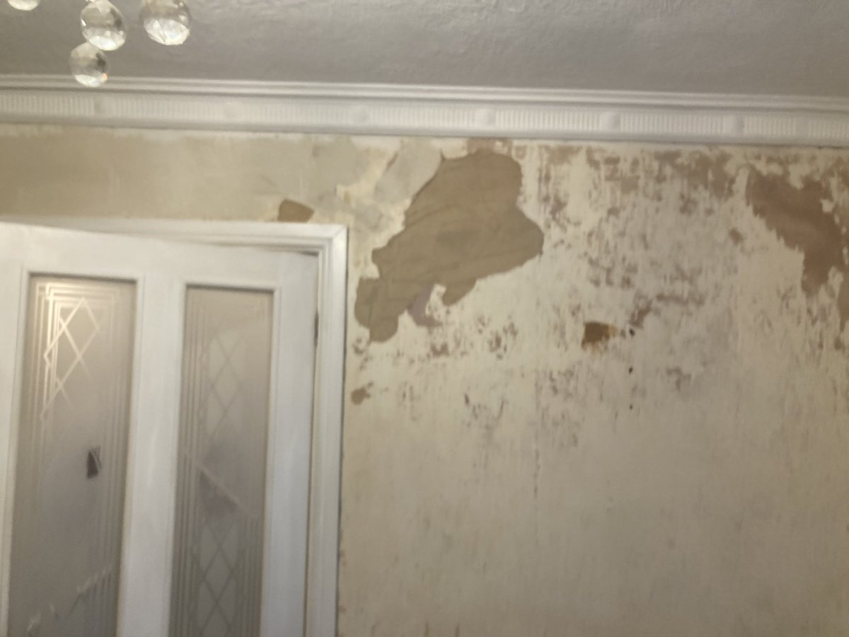 Pegasus Plasterers tweet media