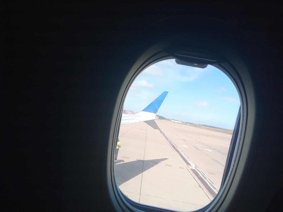 Alejandro Williman tweet media