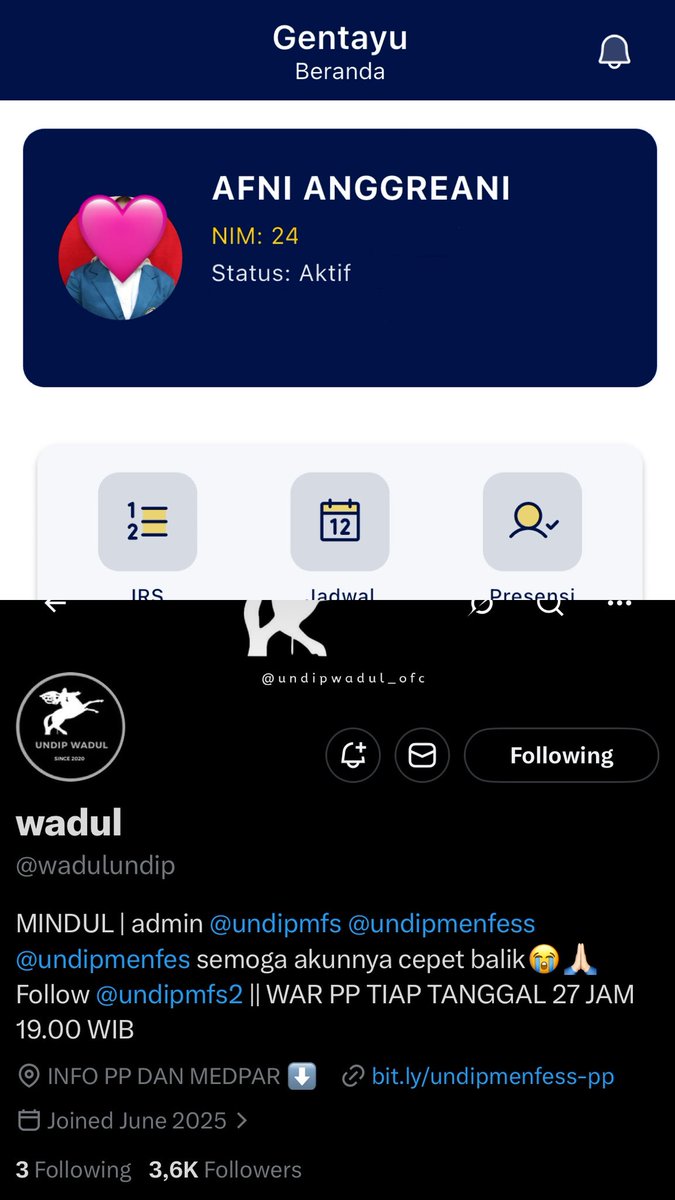 chiskimbab tweet media