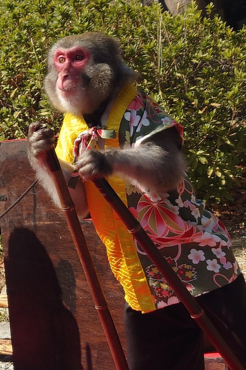 グレーマール様♡ありがとうございます♡ すみたん (@sumitan0625) / Posts and Replies / X