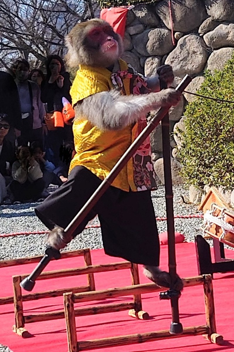 すみたん (@sumitan0625) / Posts and Replies / X