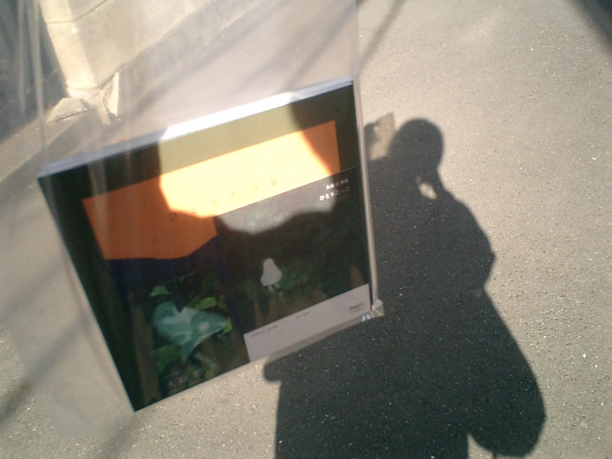 ナツノコエ__🦕 tweet media