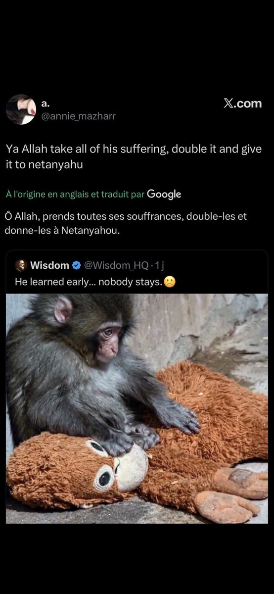 Les animaux sont des cœurs purs
Ils ne mentent pas,ne calculent pas,ne manipulent pas
Leur souffrance est là
Peut-être qu’on les aime tant parce qu’ils nous rappellent ce que nous ne sommes plus, humains
n’est ce pas Annie la sorcière qui souhaite la maladie et la mort aux juifs