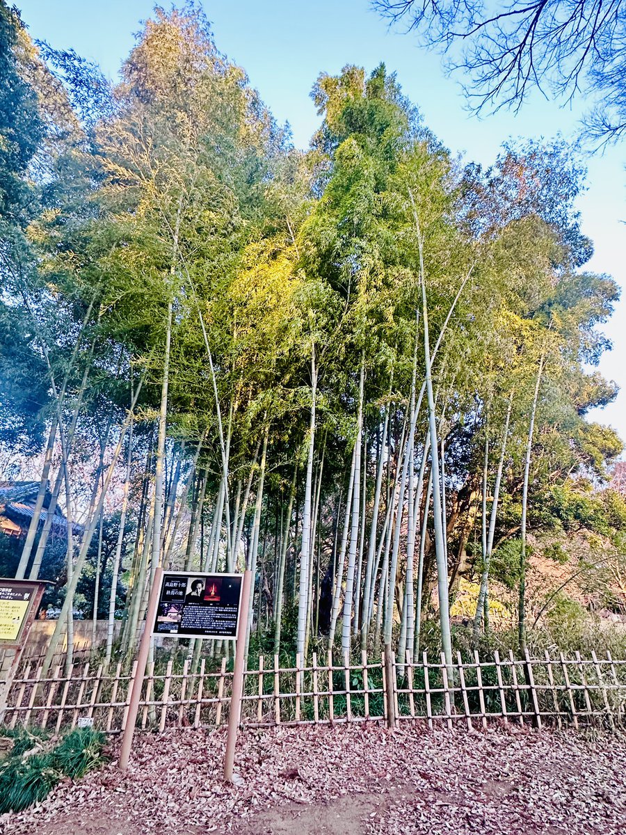 孤高の画家「#高島野十郎」をご存知だろか。晩年にアトリエを構えた