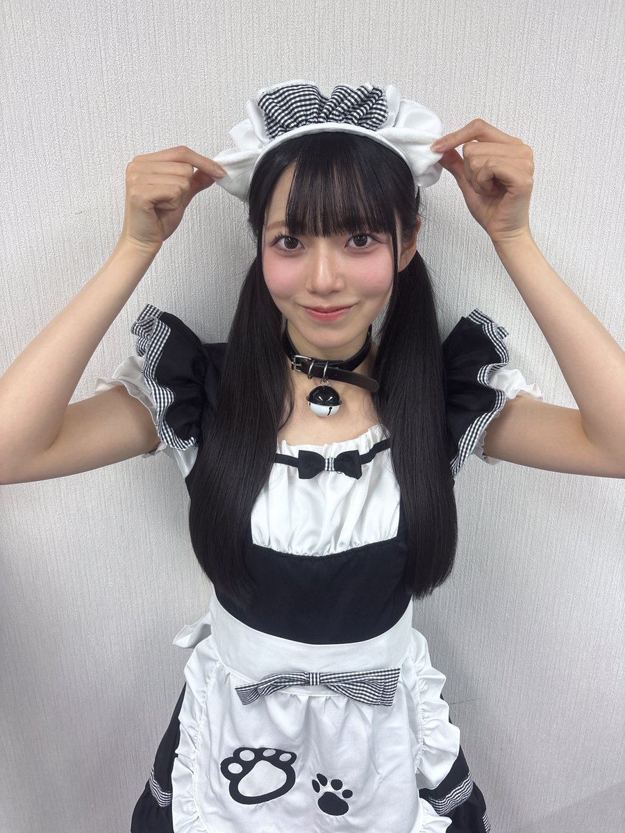 ⁺ ⊹ ♥ #猫の日 🐈‍⬛ ³ ₃