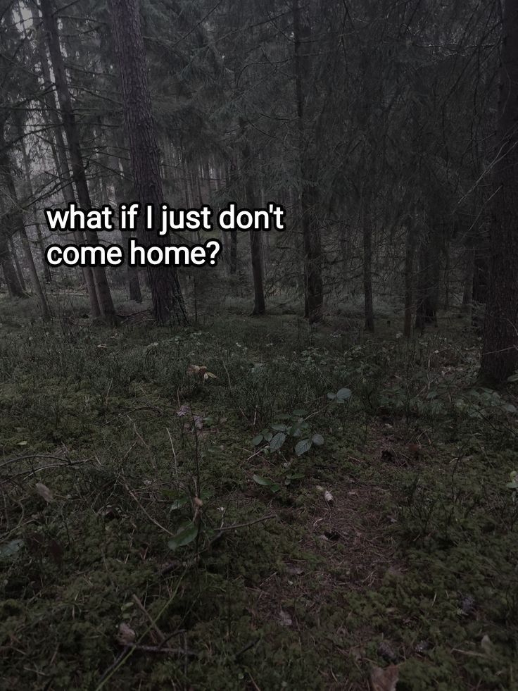 Dead Inside tweet media