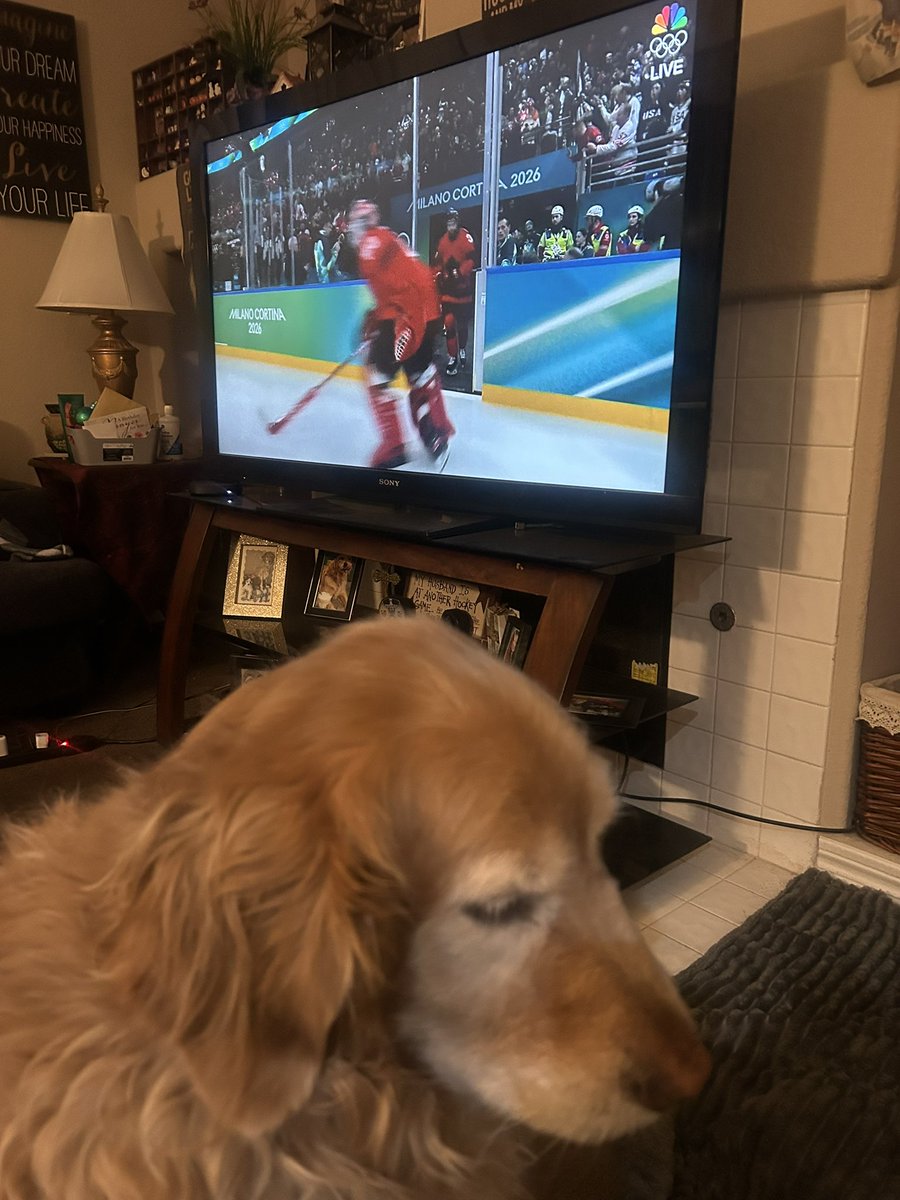 Goldie_Vegas's tweet photo. What are we doing up at 5 AM to watch hockey? #usavscanada #goguysgo #loveGoldie https://t.co/N8geaqAMdV