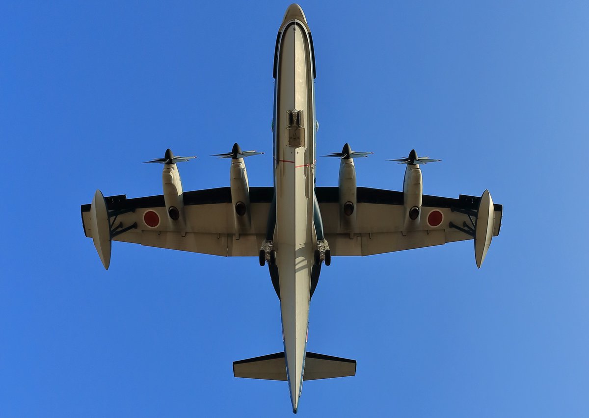 このカットの出番が来た！( ´艸｀)