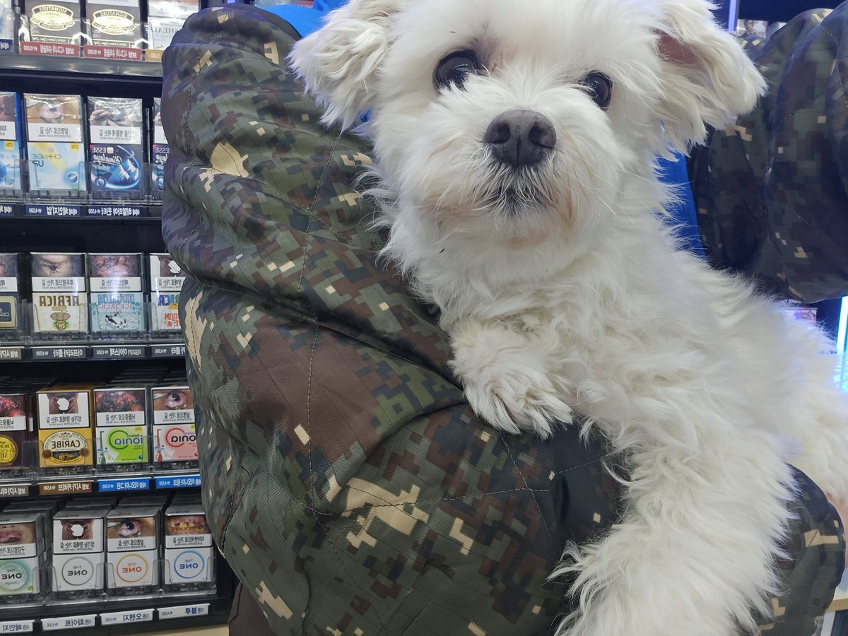 김계절 tweet media