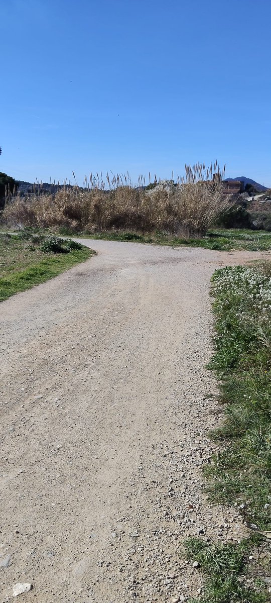 Lauren Agout tweet media