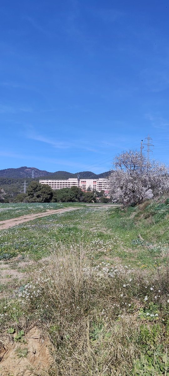 Lauren Agout tweet media