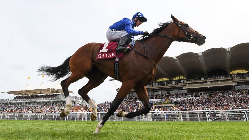 Racing Post Bloodstock tweet media