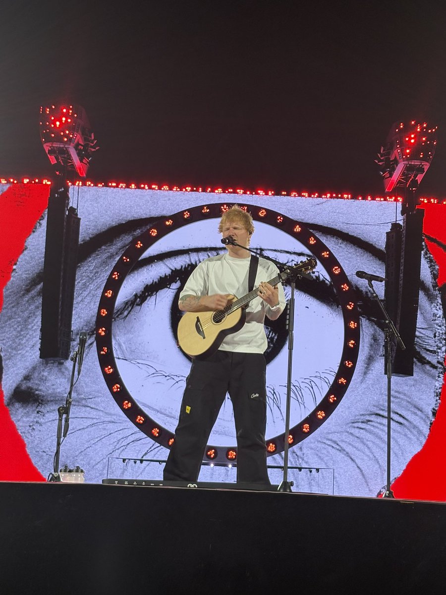 ムート tweet media