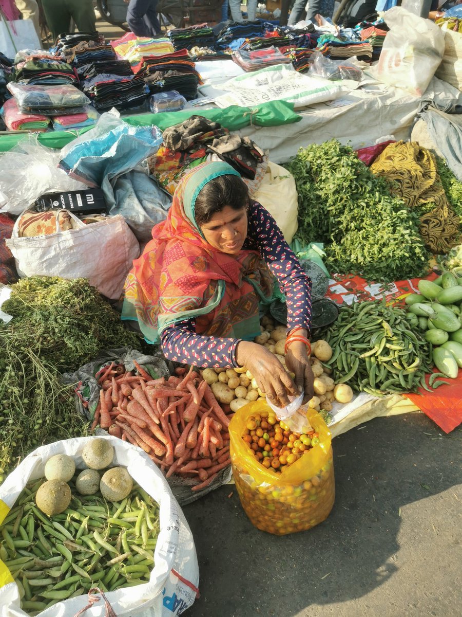 DelhiTrees tweet media