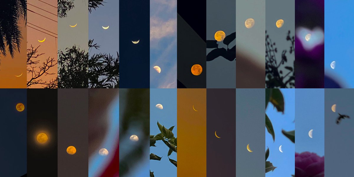 phases of the moon (20 jan to 15 feb)