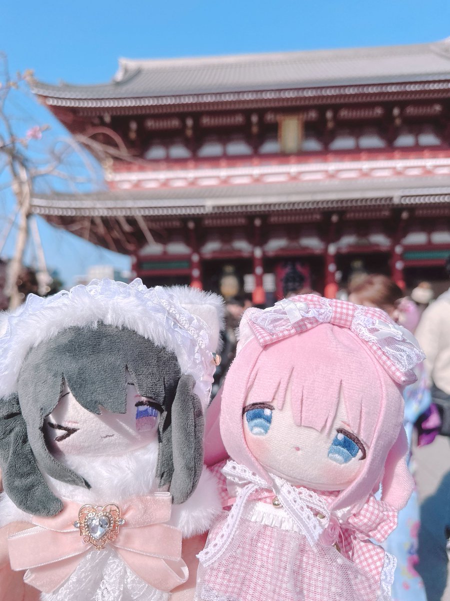 まと (@matonico25) / Posts / X