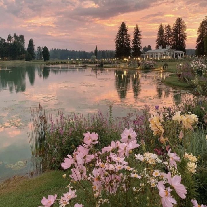 kayspalmtrees's tweet photo. what does pinterest think of you?

aura
color
album
scenery https://t.co/xJ44y9fBW2