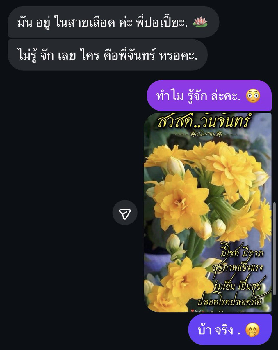นอกด้อม ยัง อิน พี่จันทร์ เลยค่ะ แมสมากมาย เกินไป แล้ว ค่ะ .🥰🥰
