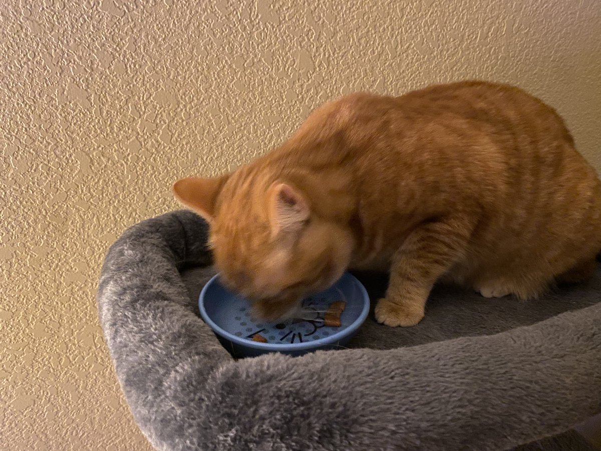 Matt Ramsey tweet media