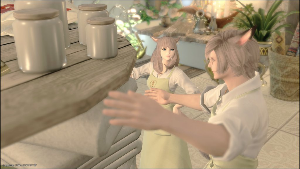 あーにゃん🍅 (@aanyan_ff14) / Posts / X