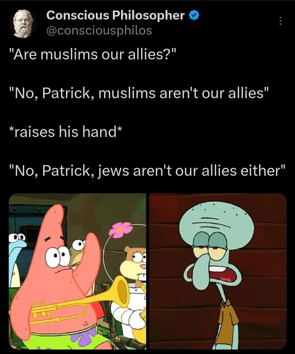 Conscious Philosopher tweet media