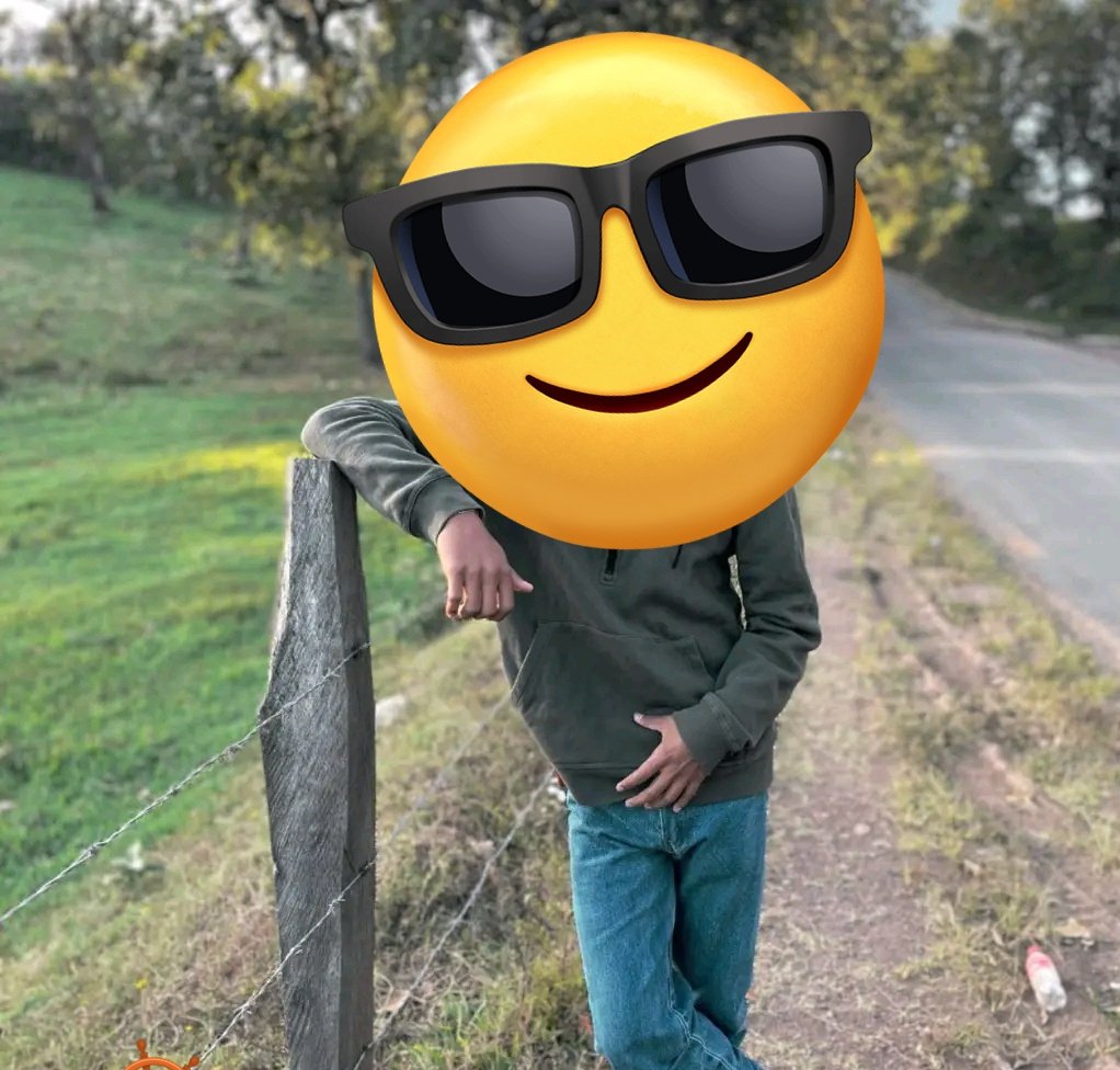 Andreee tweet media