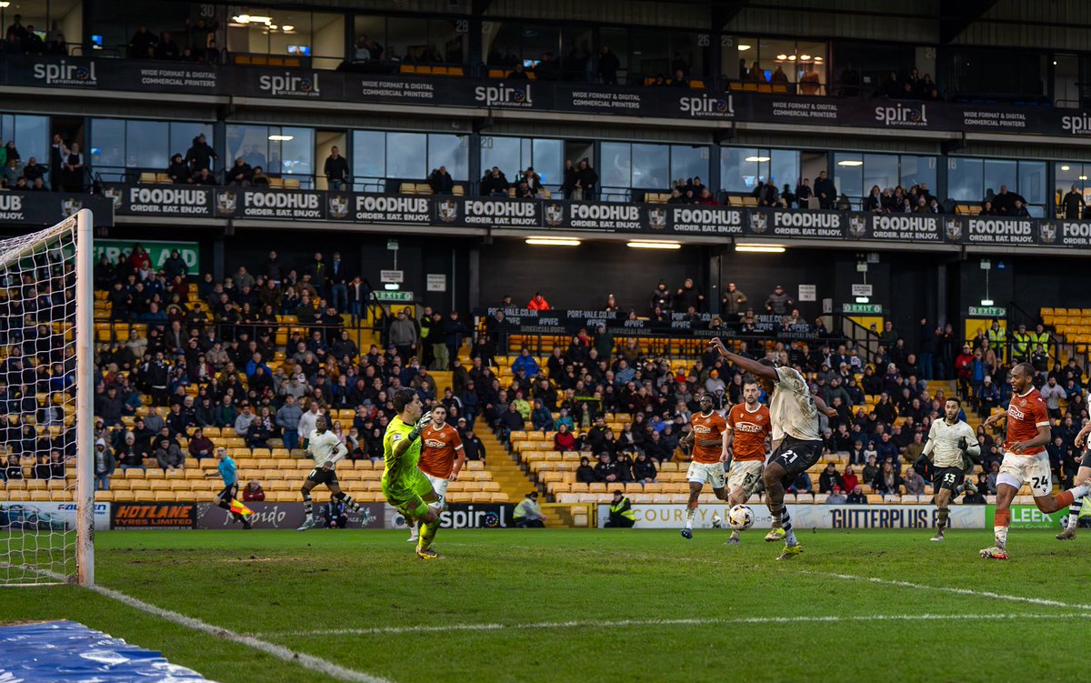 Through A Lens Photography by Joel tweet media