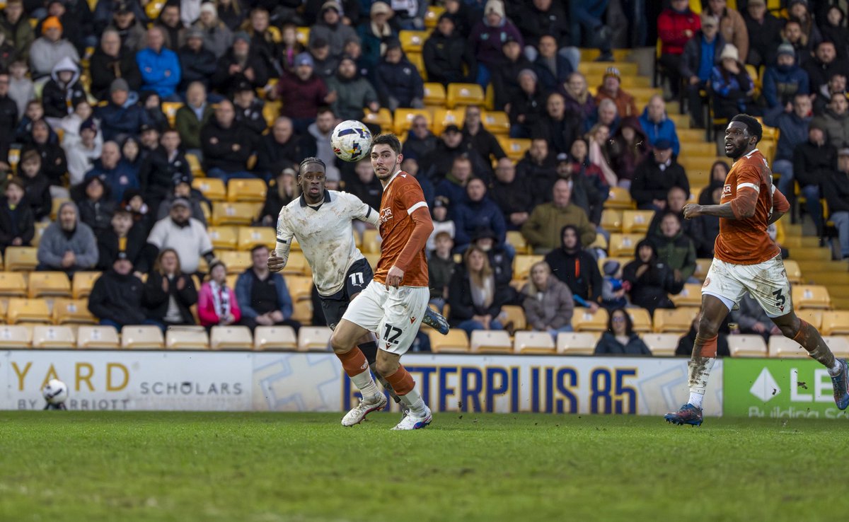 Through A Lens Photography by Joel tweet media