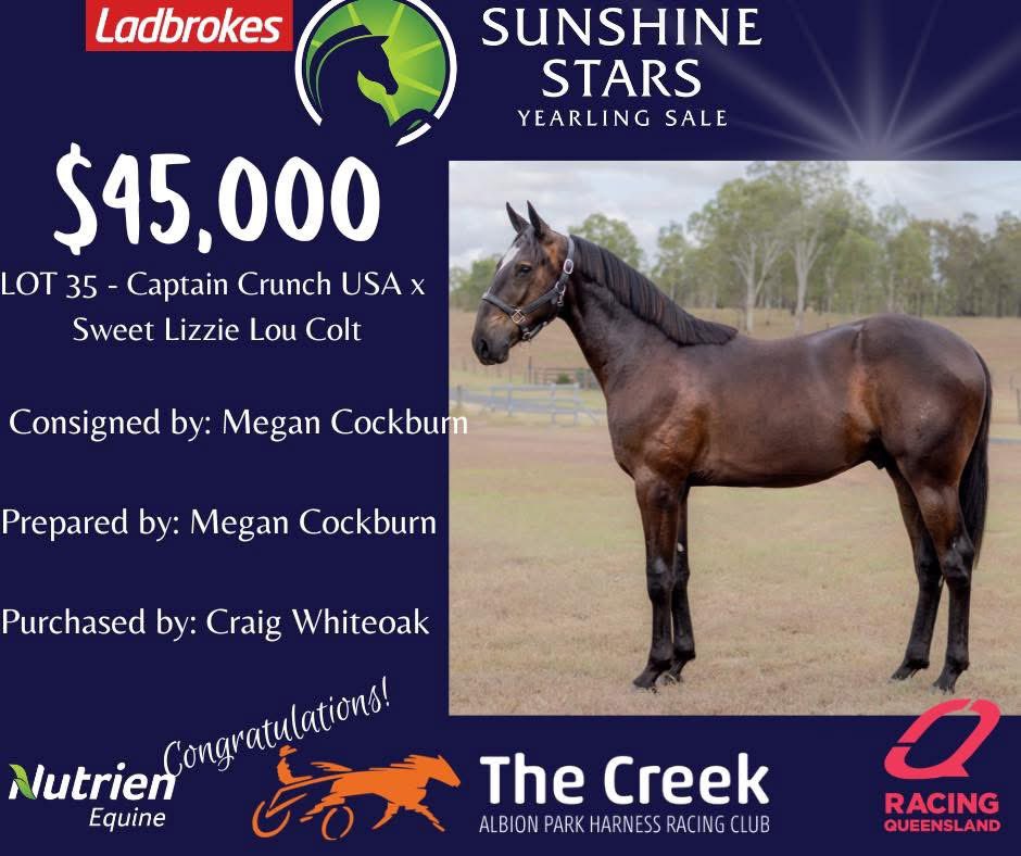 TheCreekAlbion's tweet photo. Congratulations to the Nutrien Equine - Standardbred highlight lots from todayβs Sunshine Stars Yearling Sale! ππͺπΌ
Canβt wait to see the next generation hit the track in the coming years! ππ₯°
#TheCreek #SunshineStars #YearlingSale #HarnessRacing https://t.co/YBviAy8dqg