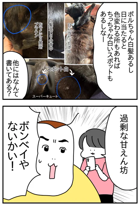 (2/2) 