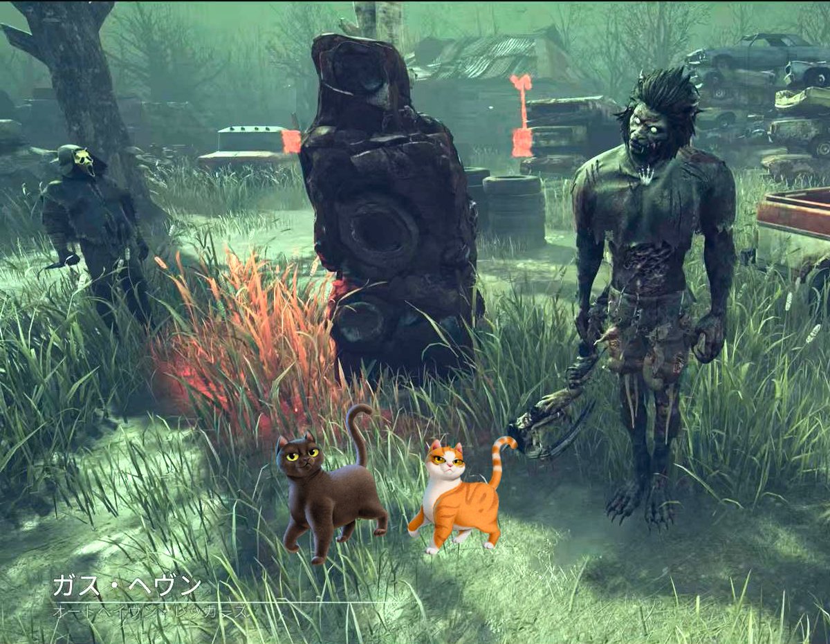 セツコ (@mameo_mame3) / Posts / X