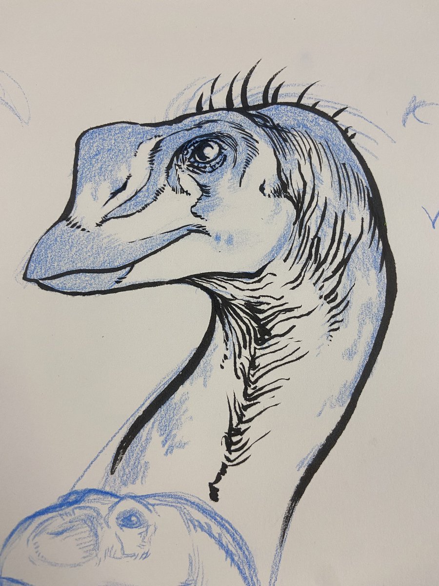 Seagull_PNG (Comms open) (@seagull_png) on Twitter photo 