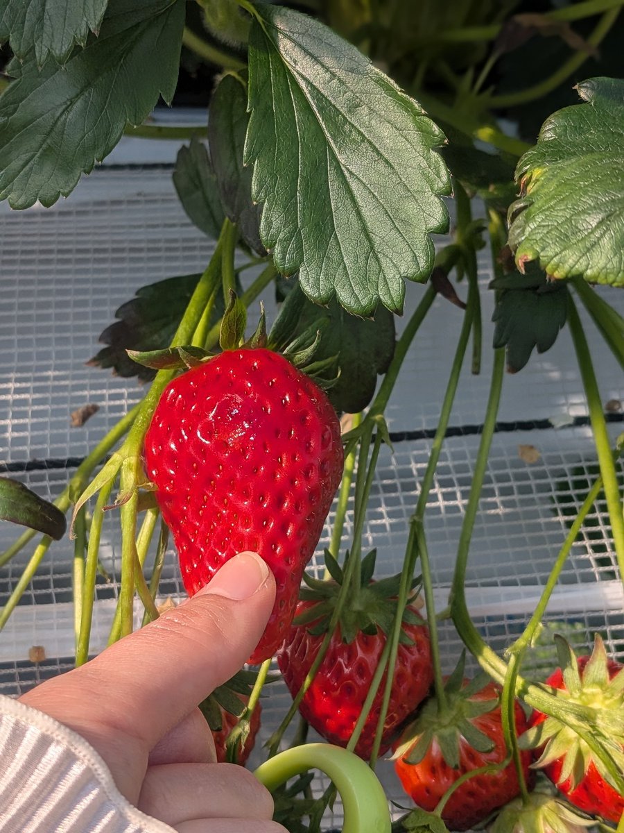 もっちゃん (@Ijf0LSWIt786f1p) / Posts / X