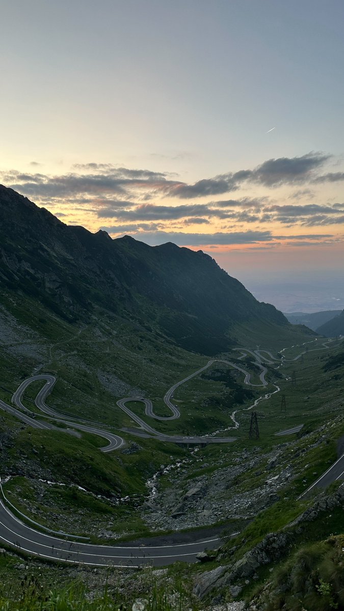 tymoteusz tweet media