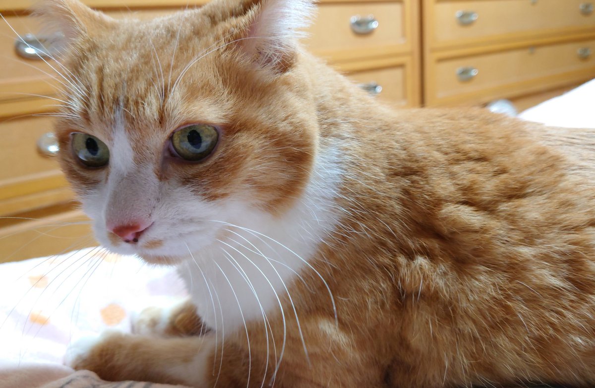 砂粉 (@s7co7) / Posts / X