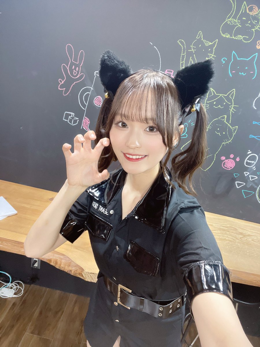 猫の日🐈‍⬛🐈