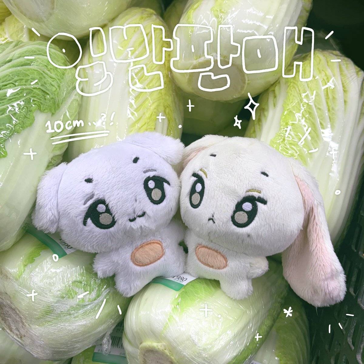 츄츄네 야채가게🥗(재고판매 준비중💕) tweet media