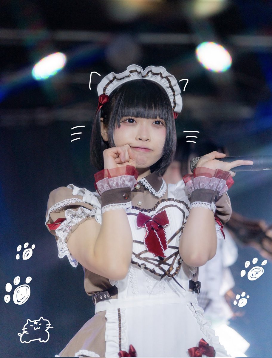 🤍🎵 #猫の日 😸🐾