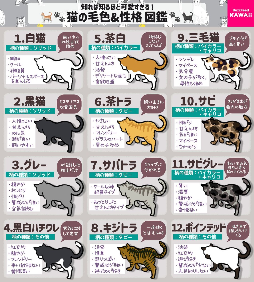 猫と暮らす幸せに感謝 🥹 ✨ 
2月22日は【猫の日】猫の模様と性格についてまとめたよ🐈️ 🐈‍⬛ 
みんなのにゃんこはどんな子？