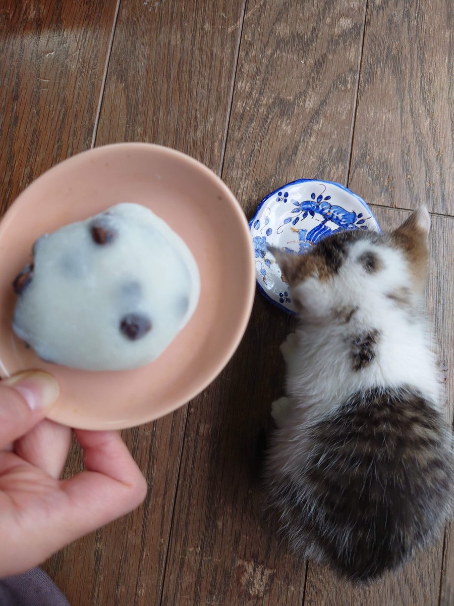 しゅな tweet media